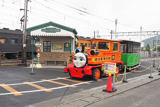 「ロコトレインのニア」/大井川鐵道「きかんしゃトーマス号」2025