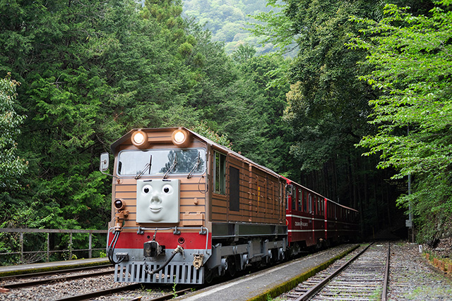 きかんしゃトビー号/大井川鐵道「きかんしゃトーマス号」2025