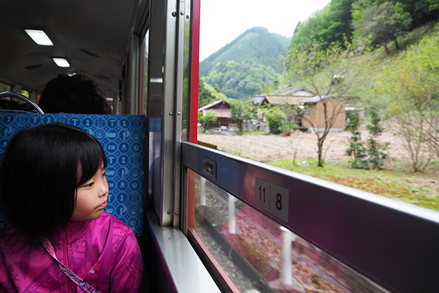 きかんしゃトビー号からの車窓/大井川鐵道「きかんしゃトーマス号」2025