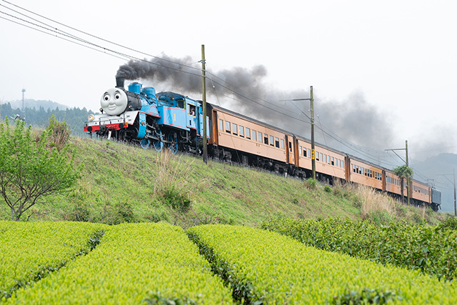 大井川鐵道「きかんしゃトーマス号」2025