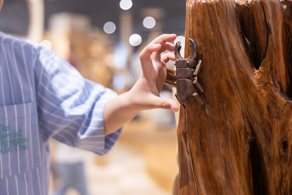 木の表面にとまるクワガタムシ/奈良おもちゃ美術館(奈良県/三郷町)