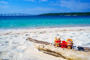 【沖縄】夏休みの子連れ旅行 人気ホテルランキング  一日遊べる宿がいっぱい！