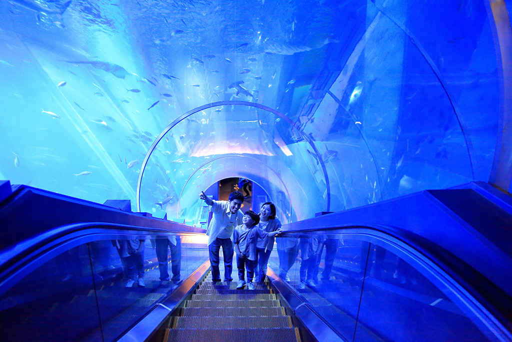 水族館の海中トンネルのようなエスカレーター/横浜・八景島シーパラダイス(神奈川県/横浜市)
