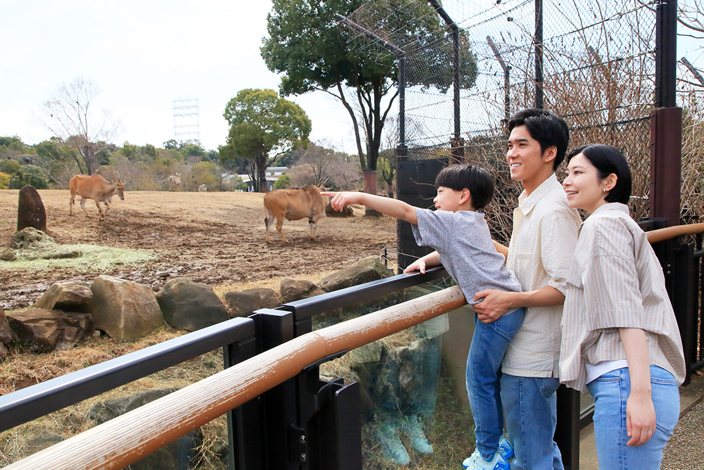 よこはま動物園ズーラシア(神奈川県/横浜市)