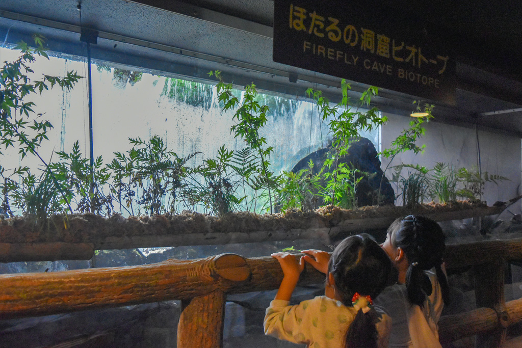 ほたるの洞窟ビオトープ／ホテル椿山荘東京