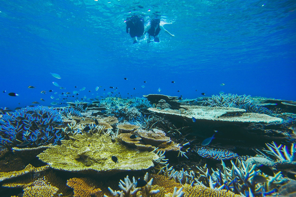 「友だち100匹できるかな」シュノーケリング編/西表島ホテル by 星野リゾート(沖縄県/竹富町)