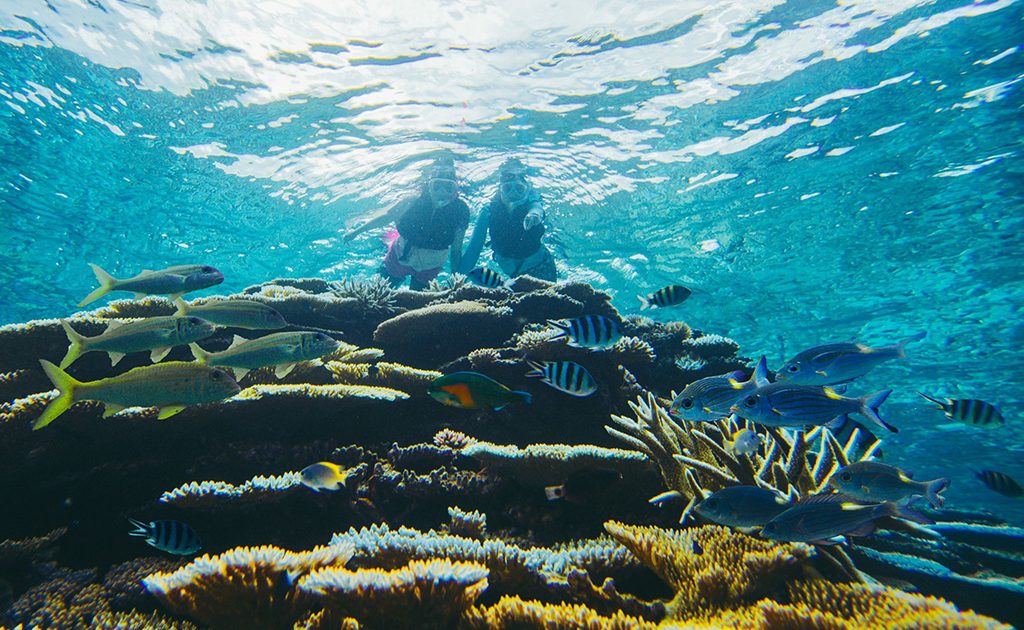 西表島ホテル by 星野リゾート」のシュノーケリングプログラムは自由