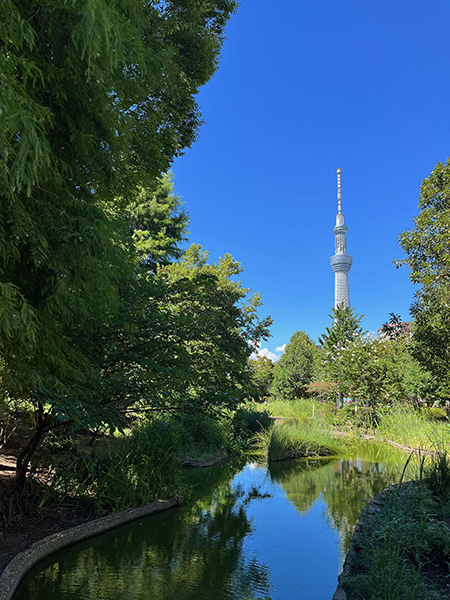 万華池/大横川親水公園（東京都/墨田区）
