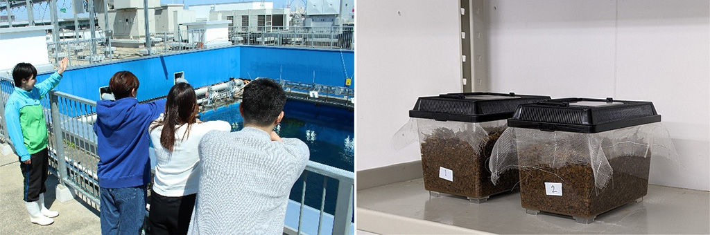 期間限定バックヤードツアー ～ホタルの特別解説～/仙台うみの杜水族館（宮城県/仙台市）