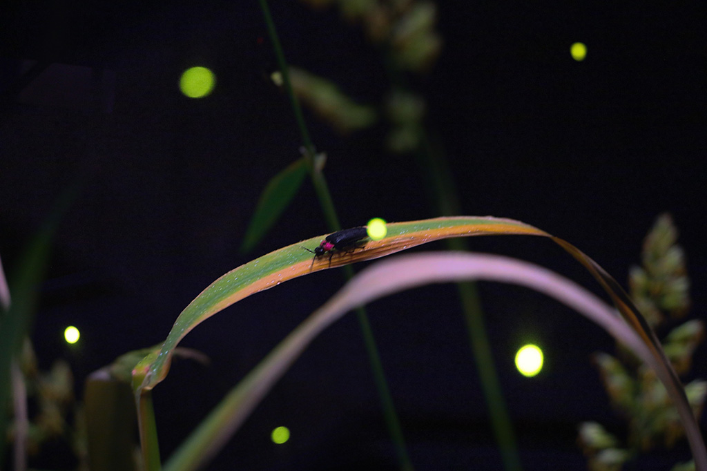 仙台うみの杜水族館（宮城県/仙台市）