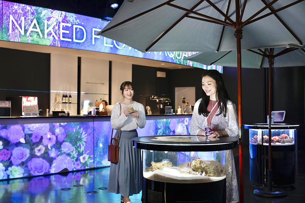 ガーデンカフェ「Blooming Cafe Bar（ブルーミング カフェ バー）」/NAKED FLOWER AQUARIUMーBlue Blossomー（東京都/港区）