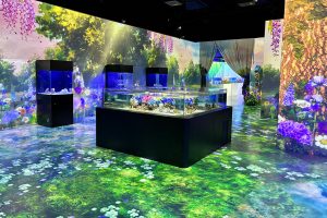 東京・マクセルアクアパーク品川で「NAKED FLOWER AQUARIUM」開催中　新たに紫陽花水槽や雨降る水槽が登場