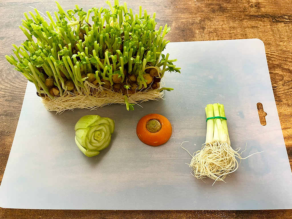 手順1/リボーンベジタブル(通称:リボベジ)│自由研究