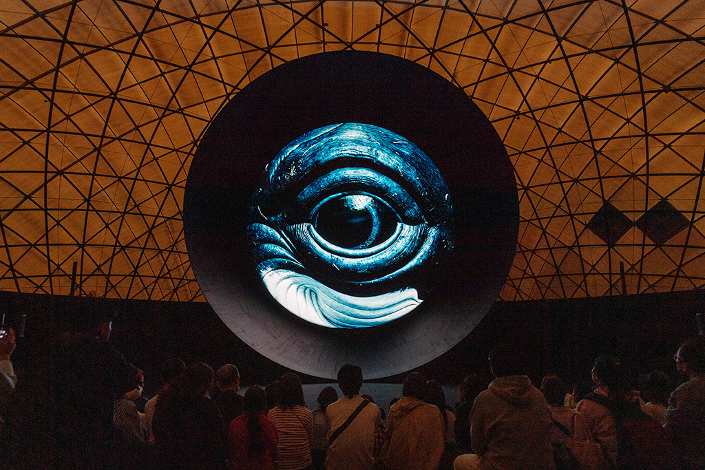 「CFRP（炭素繊維強化プラスチック）のドーム」/大阪・関西万博（大阪府/大阪市）