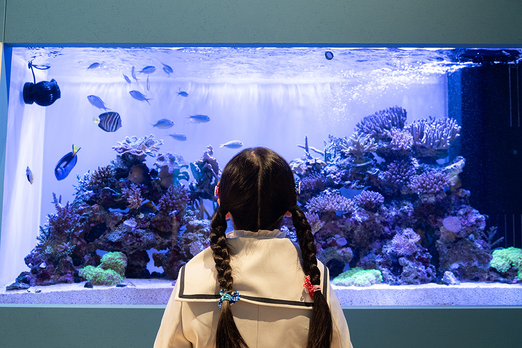 モーリシャスの海を再現した水槽│モーリシャスパビリオン/大阪・関西万博（大阪府/大阪市）