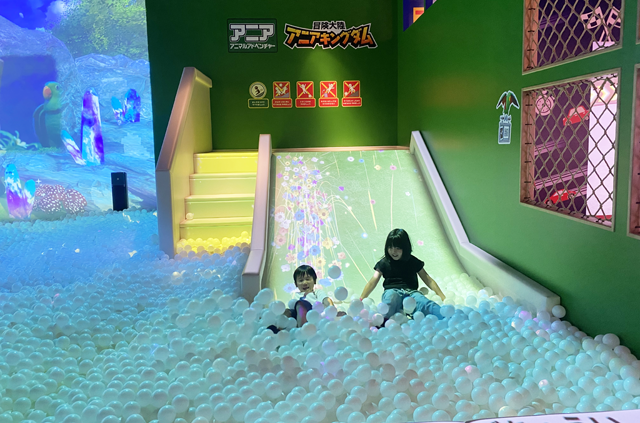 冒険!アニアキングダムの滑り台/タカラトミープラネット ららぽーと安城(愛知県/安城市)