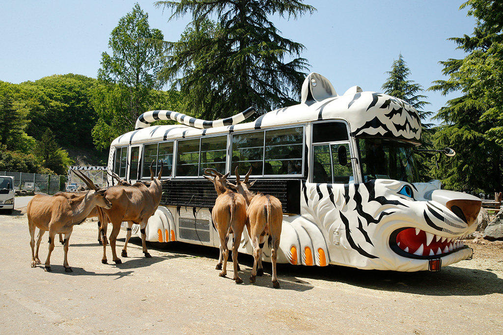 「サファリバス」/野生の王国 群馬サファリパーク(群馬県/富岡市)