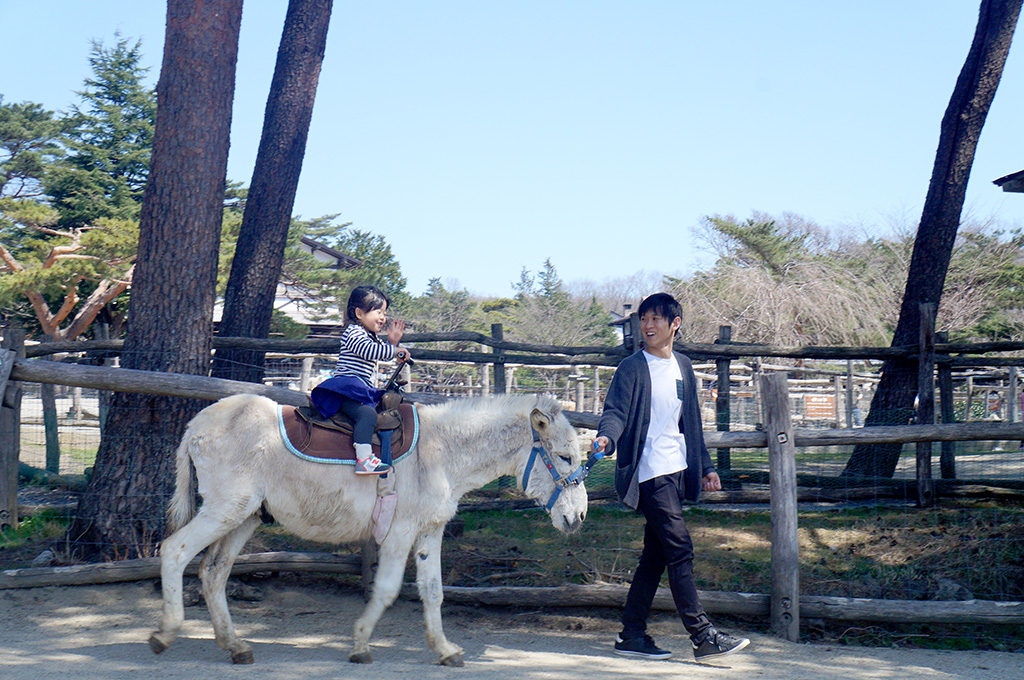 「乗ロバ」体験/那須高原 南ヶ丘牧場（栃木県／那須町）