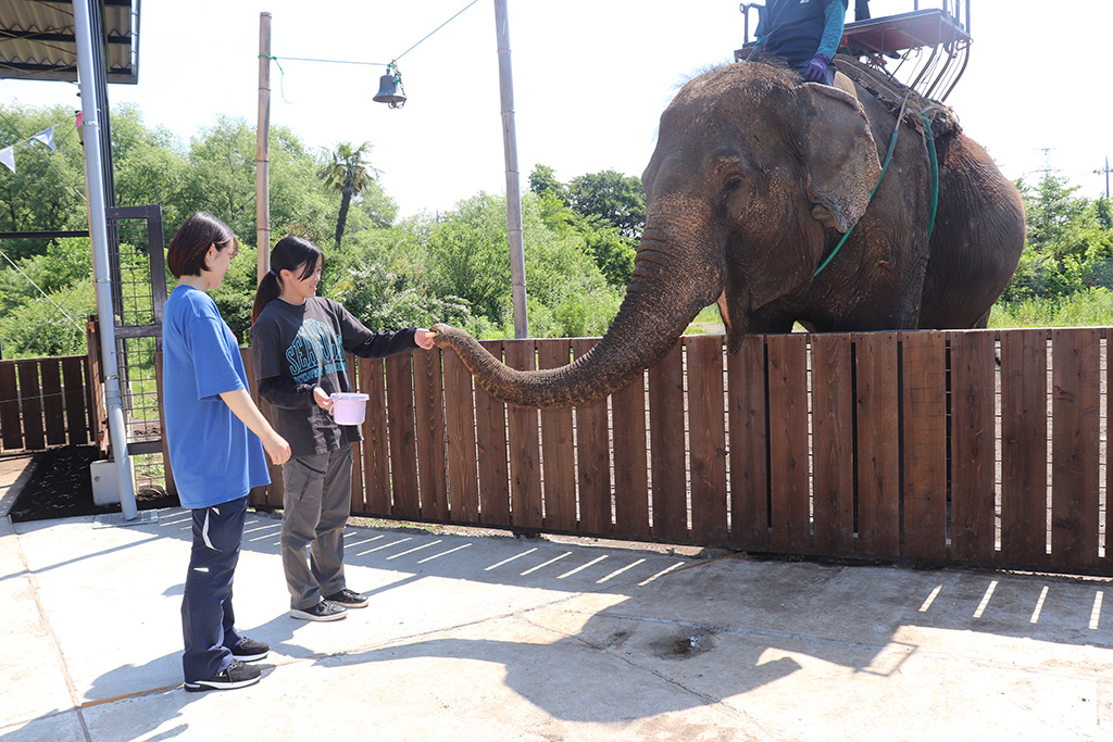 「ゾウの森」/那須ワールドモンキーパーク（栃木県／那須町）