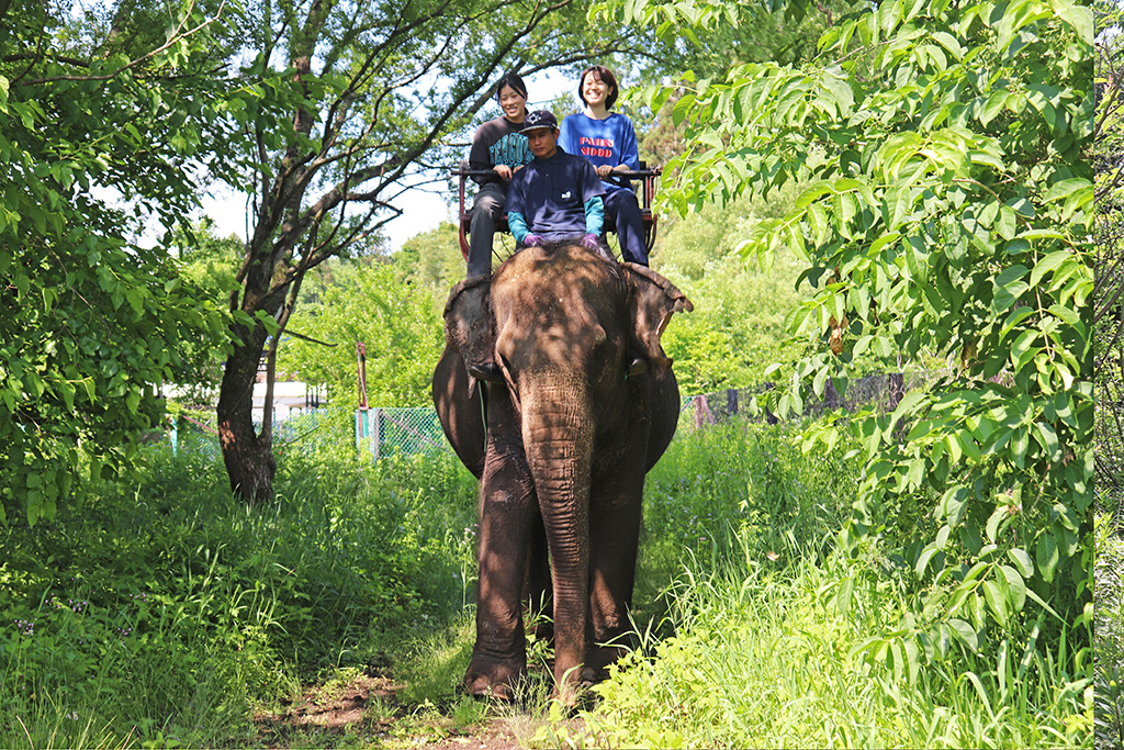 ゾウライド/那須ワールドモンキーパーク（栃木県／那須町）