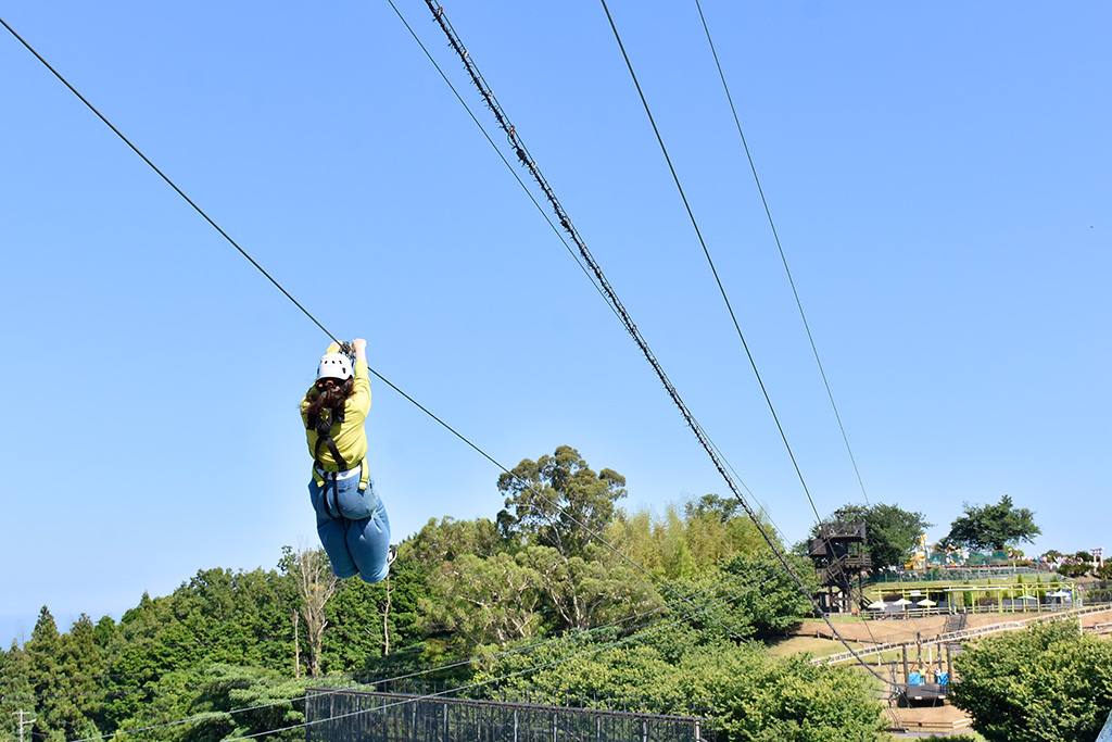 ジップライン/伊豆ぐらんぱる公園(伊豆高原グランイルミ)(静岡県/伊東市)