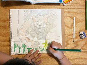 絶滅危惧種の動物はどんな種類がいる？原因も調べよう【小学生の自由研究アイデア】