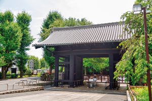 1日で終わった上野戦争とは？ゆかりの地で幕末の江戸を感じよう【小学生の自由研究アイデア】