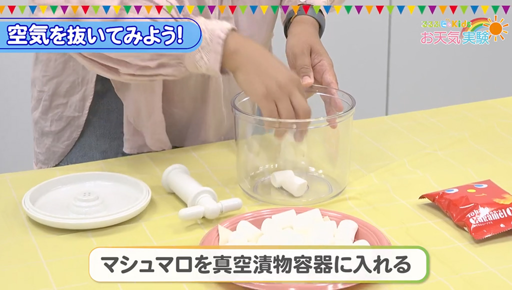 手順1：マシュマロを真空漬物容器に入れる│【自由研究】空気がなくなったらどうなる？
