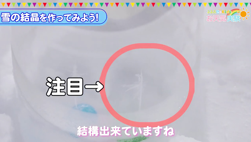 手順3.観察してみよう│お天気実験「雪の結晶の作り方」