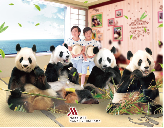 宿泊プラン「Panda Family Farewell Stay」/南紀白浜マリオットホテル（和歌山県/白浜町）