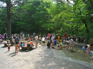 東京都の親水公園・じゃぶじゃぶ池・水遊び場15選（2025）駅近、無料も多数