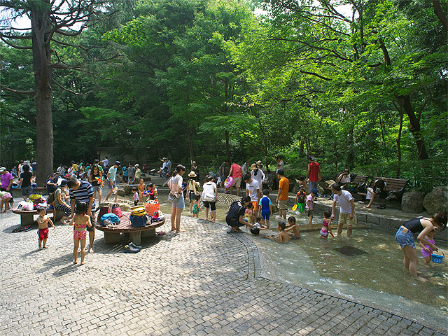 林試の森公園（東京都／品川区）