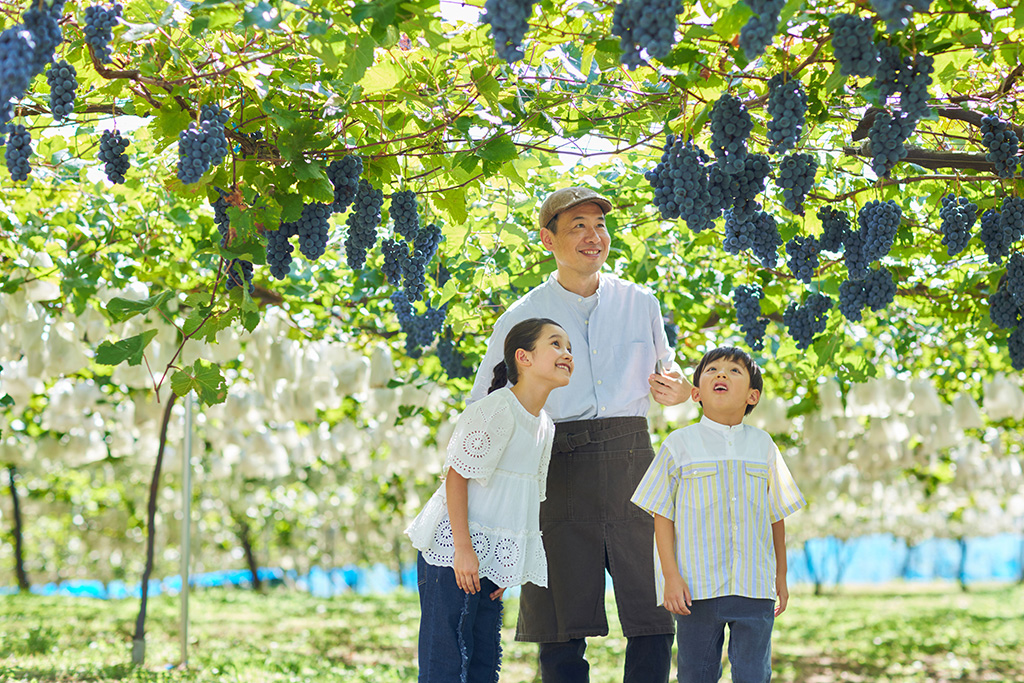 葡萄Academy~夏休みの自由研究~/リゾナーレ八ヶ岳(山梨県)