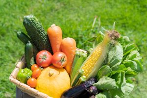 自分が住んでいる都道府県の特産品を食べてみよう【小学生の自由研究アイデア】
