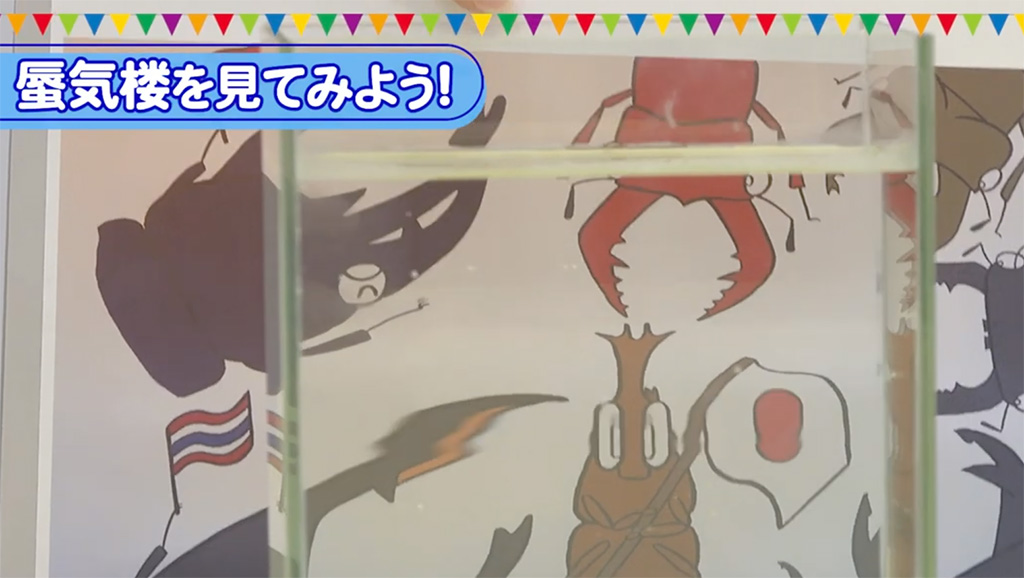 【自由研究】蜃気楼を作ろう