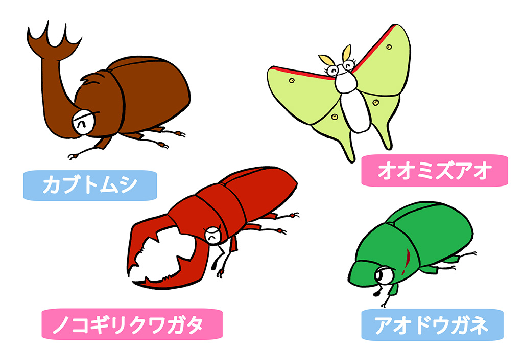 【自由研究】光に集まる虫を観察しよう