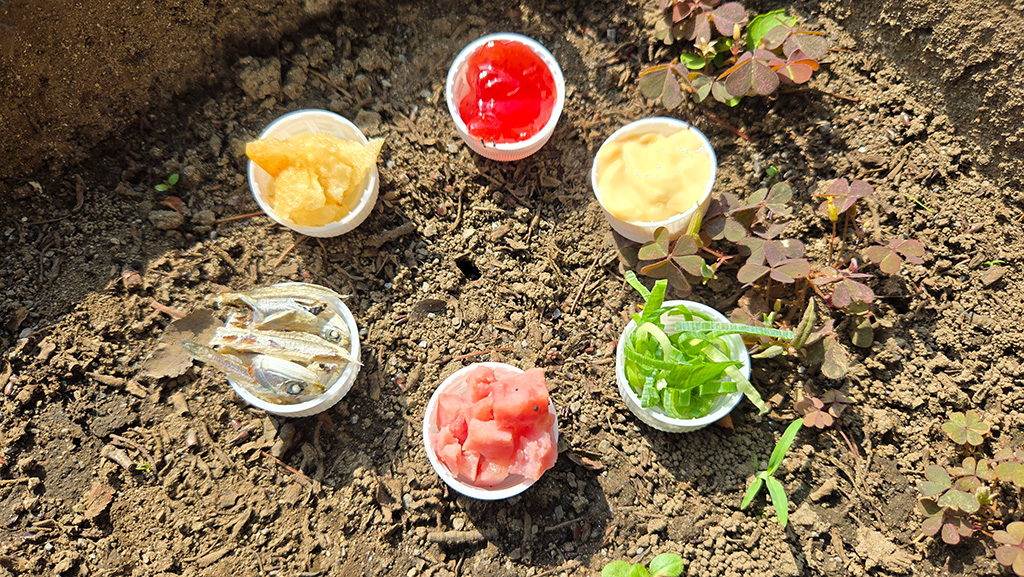 【自由研究】アリの好きな食べ物ってなんだろう