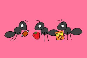 アリの好きな食べ物は？いろいろな食べ物で調べよう【小学生の自由研究アイデア】