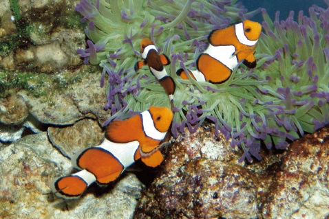 夏休み宿題フェスティバル in スカイガーデン(神奈川県/横浜市)