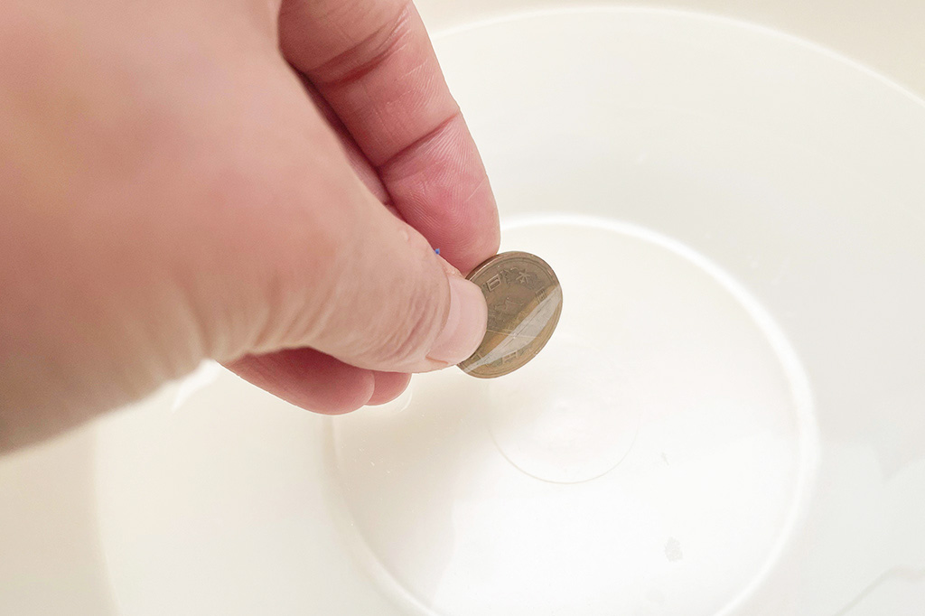 手順4：│【自由研究】10円玉が一番ピカピカになる調味料は？