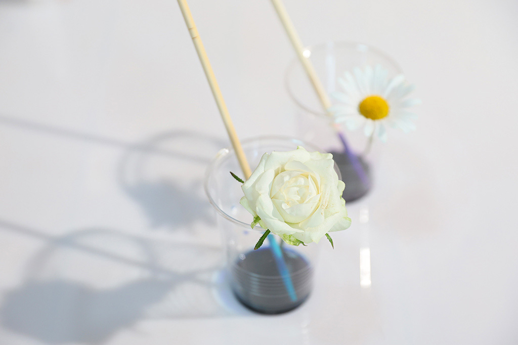 手順4：容器に花を挿す│【自由研究】白い花を色水で染めてオリジナルフラワー作り