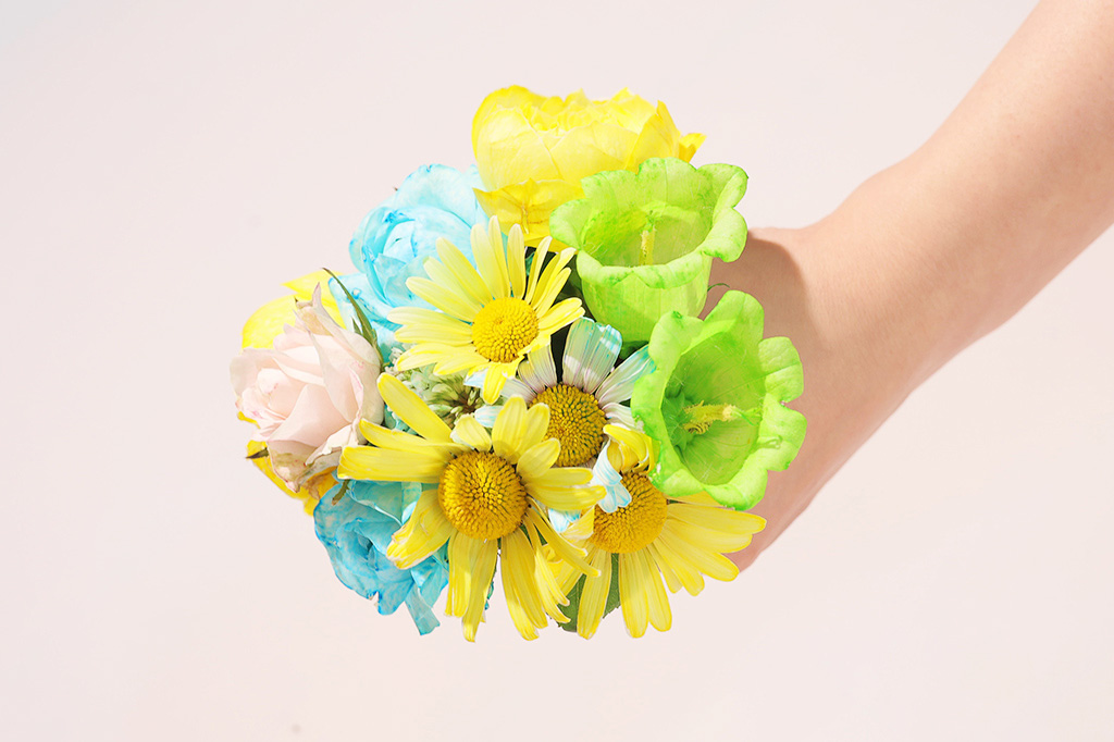 【自由研究】白い花を色水で染めてオリジナルフラワー作り