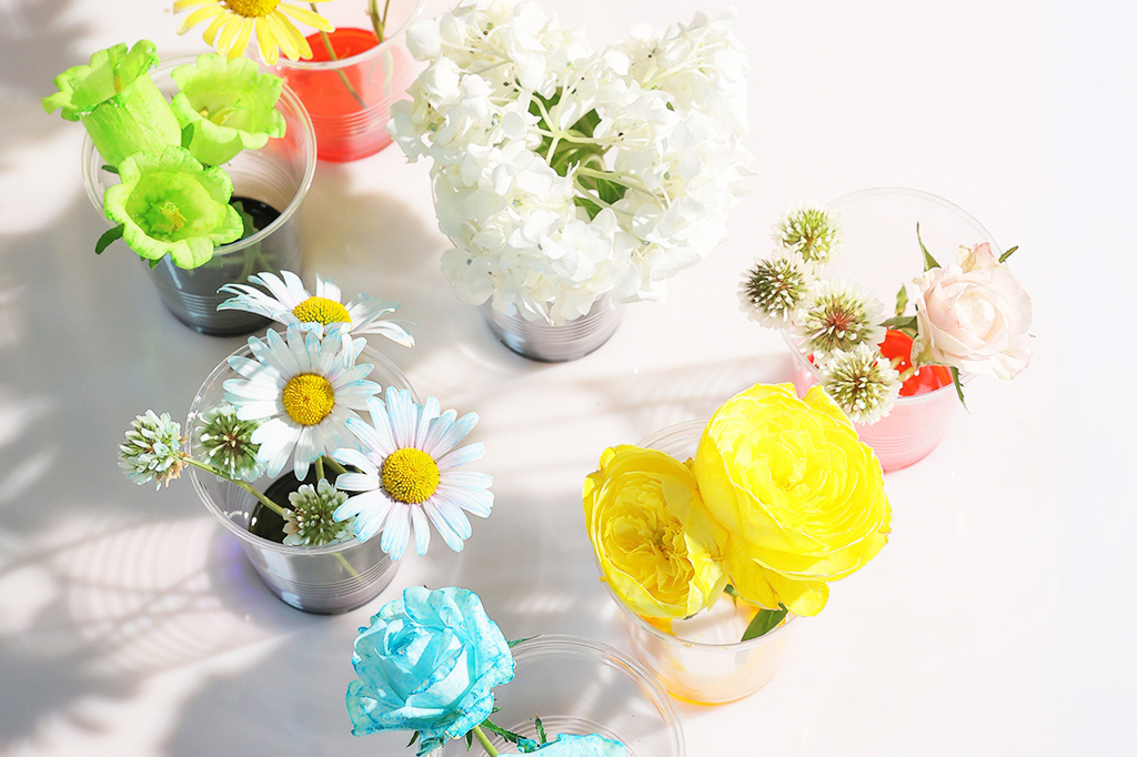 【自由研究】白い花を色水で染めてオリジナルフラワー作り