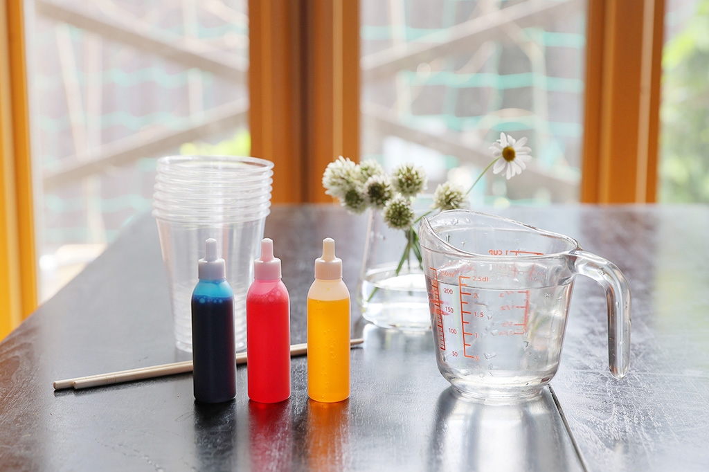 用意するもの│【自由研究】白い花を色水で染めてオリジナルフラワー作り