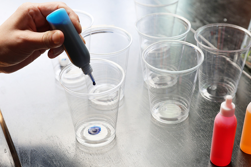 手順2：.容器に色水を準備しよう①│【自由研究】白い花を色水で染めてオリジナルフラワー作り