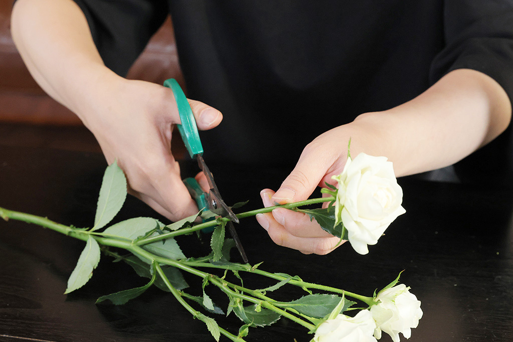 手順3：花の茎を適当な長さに切ろう①│【自由研究】白い花を色水で染めてオリジナルフラワー作り