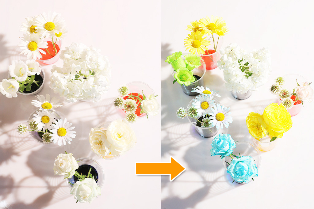 手順5：花の色の変化を観察しよう│【自由研究】白い花を色水で染めてオリジナルフラワー作り