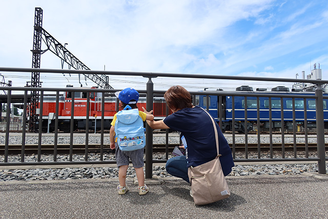 夏旅におすすめ!「SL大樹」