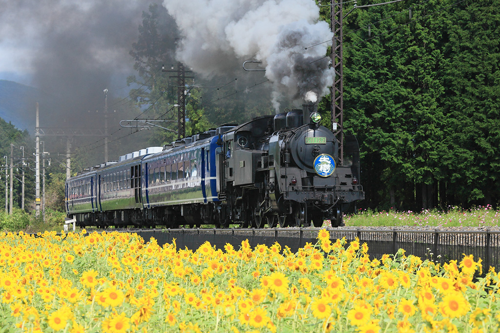 SL大樹のビュースポット「倉ケ崎SL花畑」