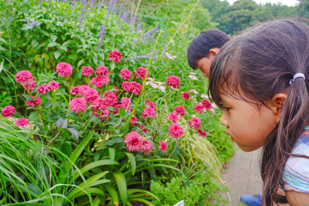 探検の様子/東京グリーンビズ・クエスト 夏休み みどりの探検隊